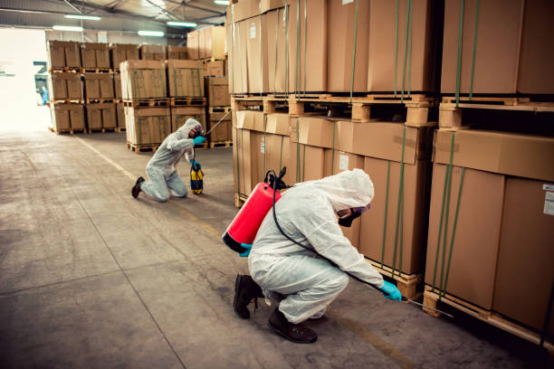 Best Commercial Pest Control Services  in Hermosa Beach, CA