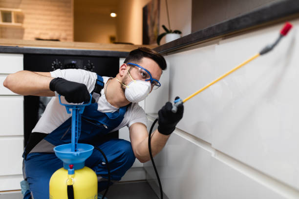 Best Pest Inspection Near Me  in Hermosa Beach, CA