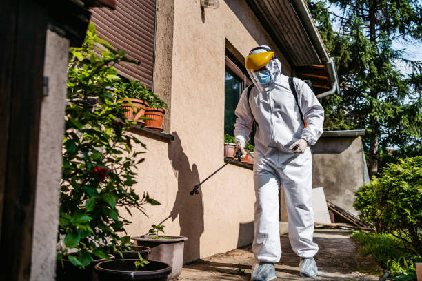 Wasp Removal Services in Hermosa Beach, CA