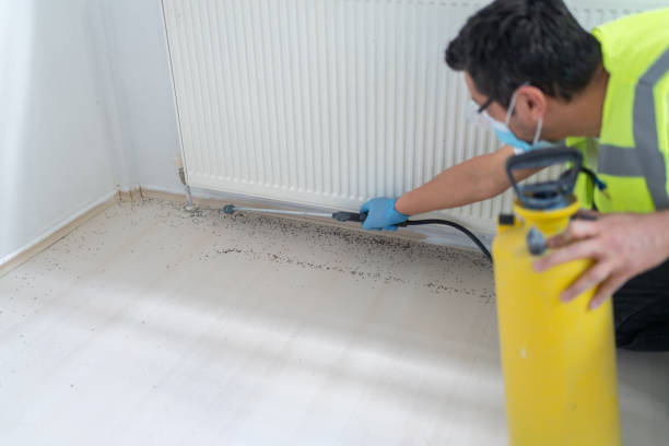 Best Wildlife Control Services  in Hermosa Beach, CA